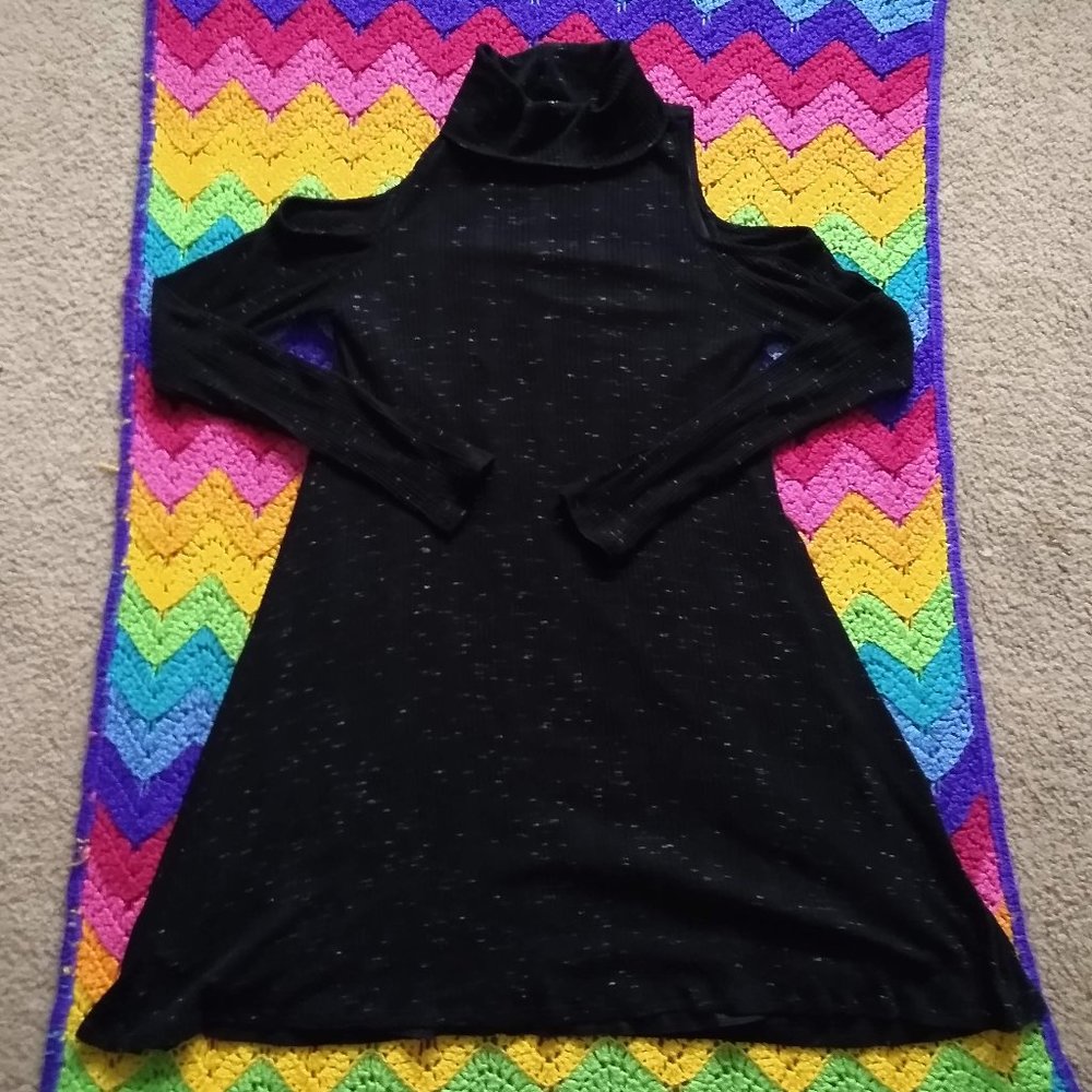 Ribbed Turtleneck Dress